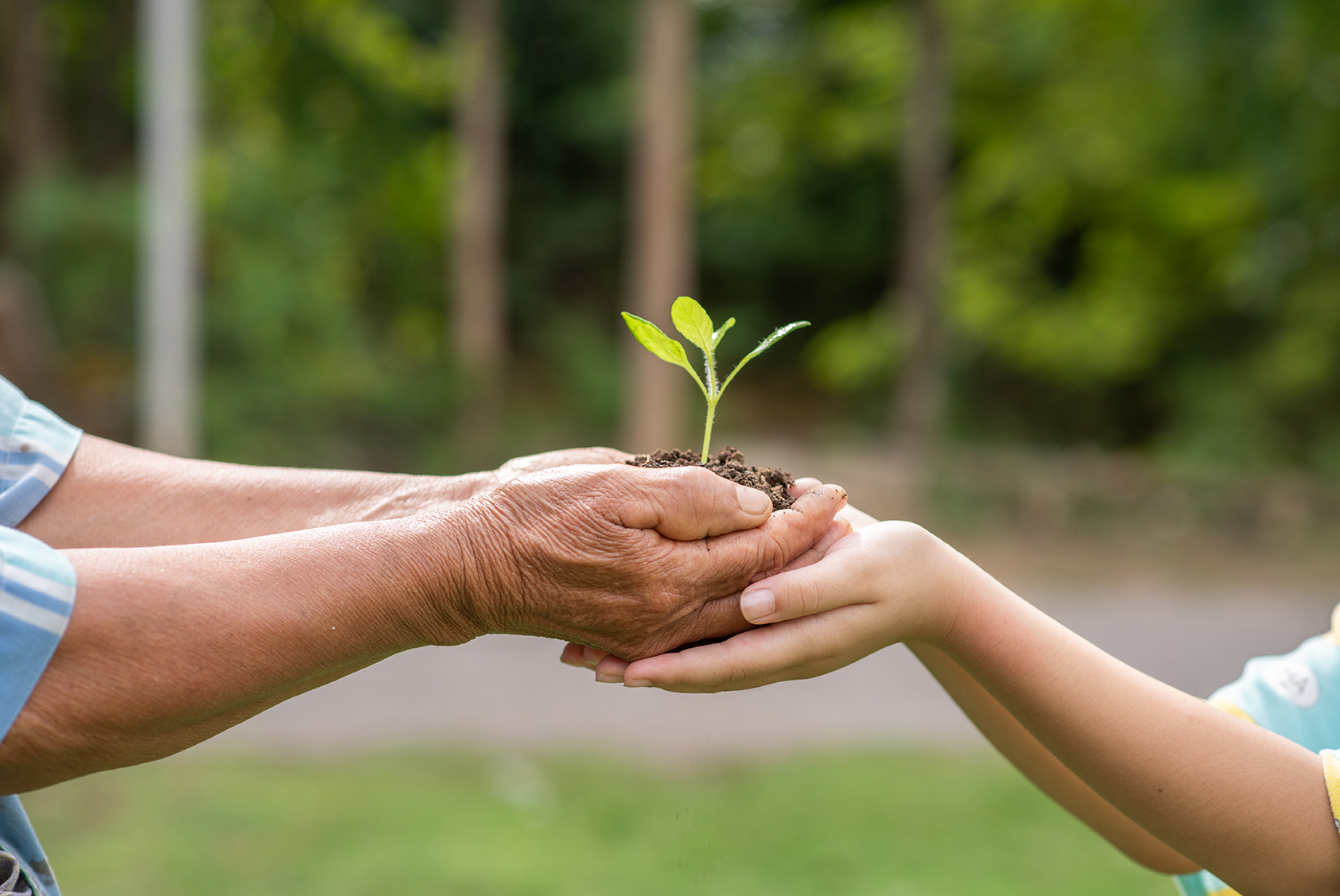 Man handing over a plant to a child